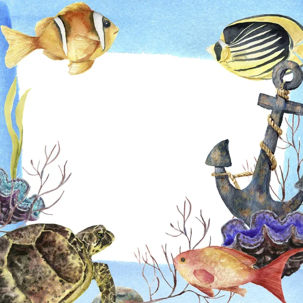 水彩熱帯海のフレーム。手描きの熱帯の魚、古いアンカー、イソギンチャク、海藻、サンゴの白い背景で隔離。デザイン、ファブリックまたは印刷用の水中図. — ストック写真