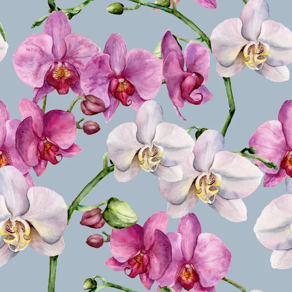 Ακουαρέλα μοτίβο με λευκά και ροζ ορχιδέες. Ζωγραφισμένα στο χέρι floral βοτανικό στολίδι. Για το σχεδιασμό, ύφασμα ή εκτύπωση. — Φωτογραφία Αρχείου