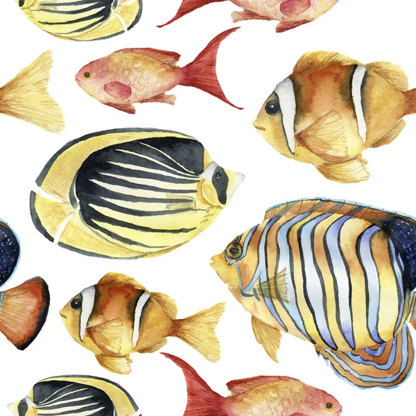 Aquarell tropisches Meeresmuster. handbemalte tropische Fische: Skalare, Falterfische, Clownfische isoliert auf weißem Hintergrund. Unterwasserillustration. — Stockfoto