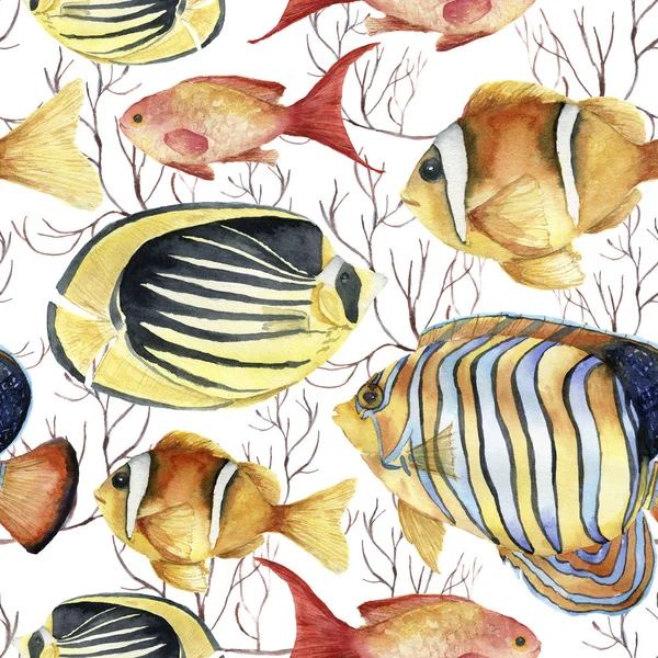 수채화 트로픽 바다 패턴입니다. 손 그린 트로픽 물고기: 엔젤, 고기, 클 라 운 피시와 흰색 배경에 고립 된 산호. 수 중 그림. — 스톡 사진