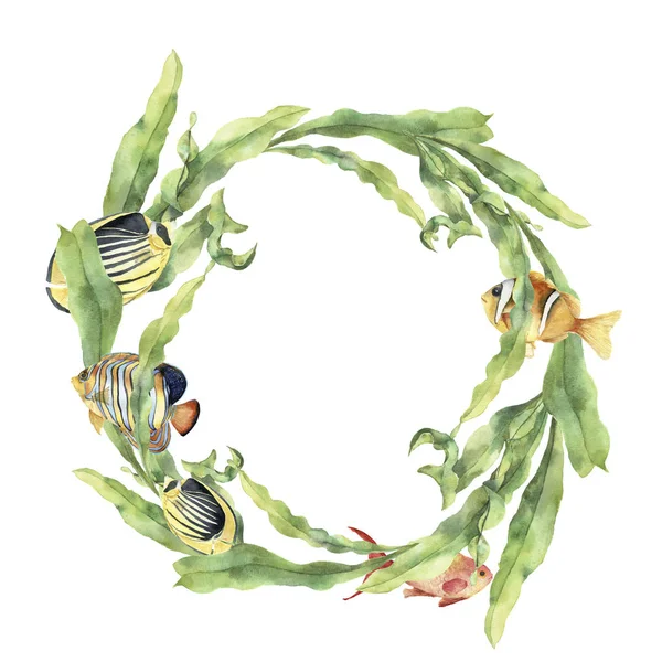Ghirlanda d'acquerello con laminaria e pesci tropicali. Illustrazione floreale subacquea dipinta a mano con rami di foglie di alghe e animali isolati su sfondo bianco. Stampa oceanica — Foto Stock