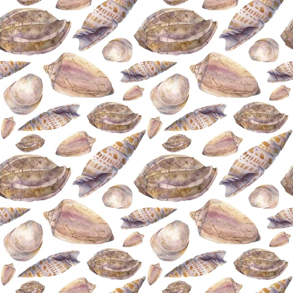 Watercolor tropic seashell pattern. Hand painted tropic shells isolated on white background. Underwater illustration for design, print, textile — Stock Photo, Image