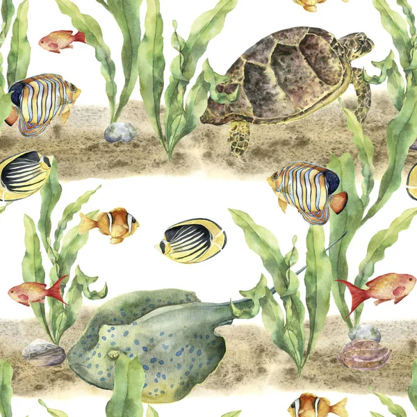 Aquarelle motif tropique avec des animaux et des poissons. Poisson tropique peint à la main, algues, raie, cailloux, tortue marine, coquillage isolé sur fond blanc. Illustration sous-marine pour tissu ou impression . — Photo