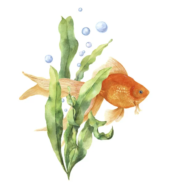 Tarjeta acuario acuarela. Impresión subacuática pintada a mano con peces dorados, rama de algas marinas y burbujas de aire aisladas sobre fondo blanco. Ilustración para diseño, impresión o fondo . — Foto de Stock