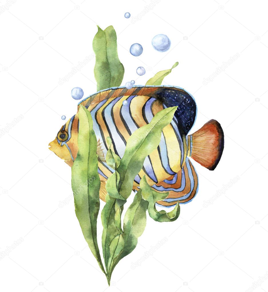 Watercolor aquarium card with fish. Hand painted underwater print with angelfish, laminaria branch and air bubbles isolated on white background. Illustration for design, print or background