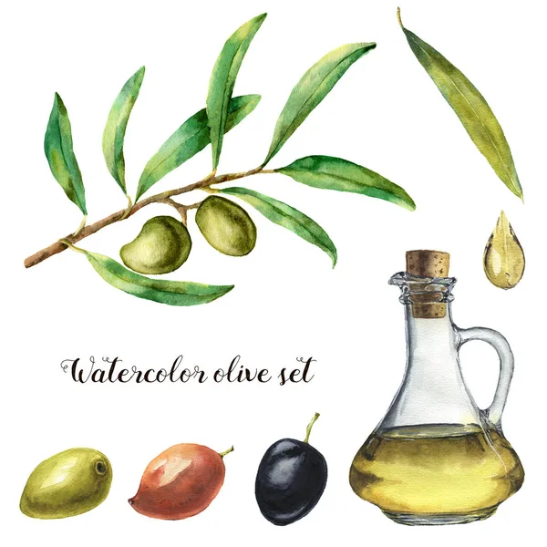 Acuarela con aceituna. Ilustración pintada a mano con bayas de oliva, botella con aceite de oliva y ramas de árboles con hojas aisladas sobre fondo blanco. Para diseño, impresión y tela — Foto de Stock