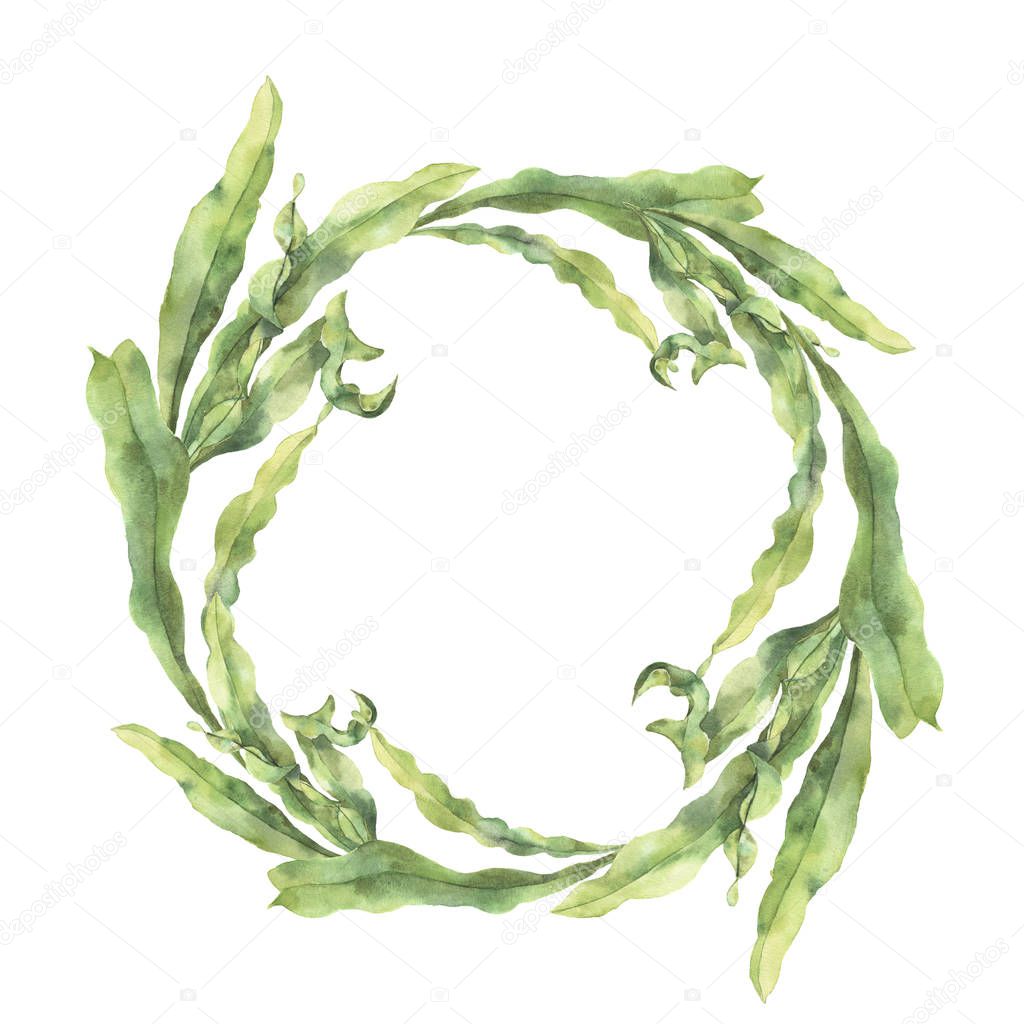 Watercolor wreath with laminaria. Hand painted underwater floral illustration with algae leaves branch isolated on white background. For design, fabric or print.