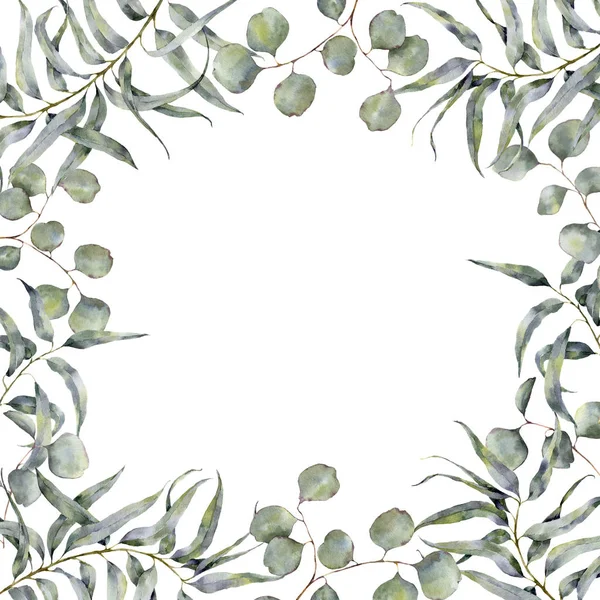 Akvarelu hranice s větví eukalyptu. Ručně malované květinový rámeček s kulatými listy eukalyptu stříbrný dolar izolované na bílém pozadí. Pro návrh a tisk — Stock fotografie