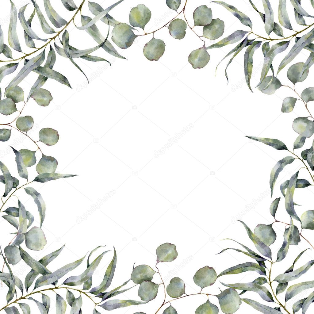 Watercolor border with eucalyptus branch. Hand painted floral frame with round leaves of silver dollar eucalyptus isolated on white background. For design or print