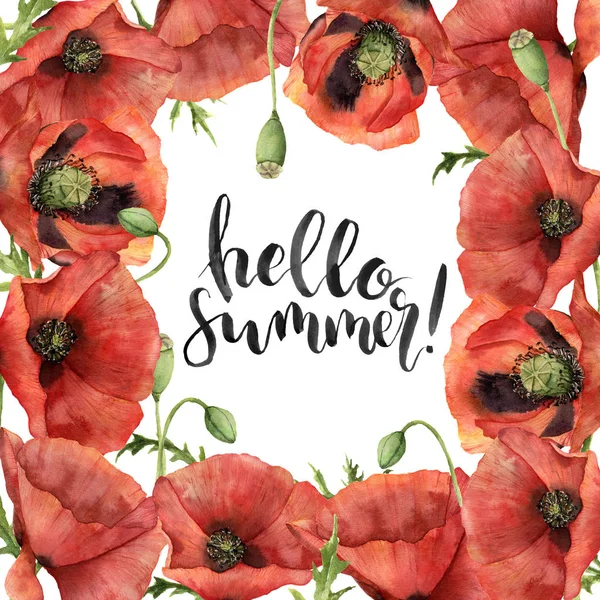 Watercolor Hello summer card. Hand painted floral border with poppy flowers, leaves, seed capsule and branches isolated on white background. For design, print and background