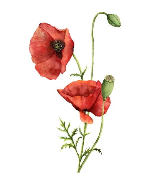 Aquarel papaver boeket. Met de hand geschilderde bloemen illustratie met bladeren, zaad capsule en takken geïsoleerd op witte achtergrond. Voor ontwerp, bedrukking en stof — Stockfoto