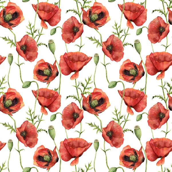 Aquarelle motif sans couture avec des coquelicots. Illustration florale peinte à la main avec fleurs, feuilles, capsules de graines et branches isolées sur fond blanc. Pour la conception, l'impression et le fond — Photo