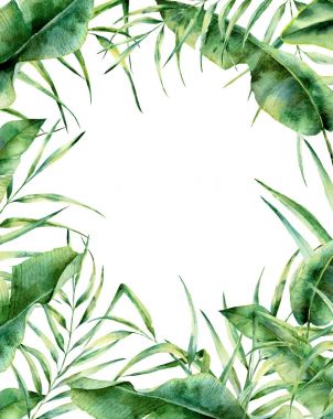 Sulu Boya egzotik çerçeve çiçek. El boyalı palmiye ağacı ile Tropic sınır kalkıyor, muz ve Manolya yaprakları beyaz arka plan üzerinde izole. Düğün ve tebrik tasarım veya baskı için.