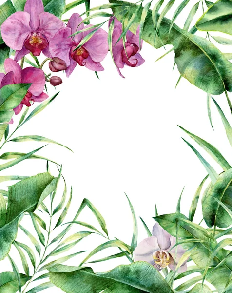 Akvarell trópusi virág keretben. Kézzel festett egzotikus határ Pálma levelek, banán ág és elszigetelt fehér background orchideák. Esküvői és üdvözlés, design, illetve a nyomtatás. — Stock Fotó