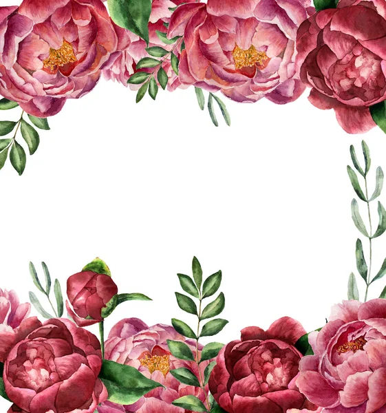 Aquarel bloemen frame met pioenroos en groen. Hand geschilderd grens met bloemen met bladeren, een tak van eucalyptus en rozemarijn geïsoleerd op een witte achtergrond. Botanische illustratie voor ontwerp. — Stockfoto