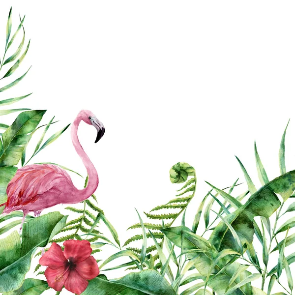 Akvarell trópusi természetvédelmi card. Kézzel festett virágos keret Pálma levelek, páfrány ág, a banán és a magnólia levelek, a Hibiszkusz virág és a flamingo a elszigetelt fehér háttér. Üdvözlés design — Stock Fotó