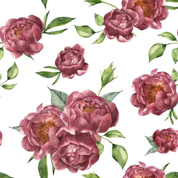Akwarela wzór z piwonii i zieleni. Ręcznie malowane kwiatowy ornament z kwiatów i liści na białym tle. Vintage ilustracji botanicznych dla projektu. — Zdjęcie stockowe