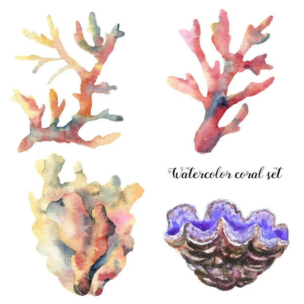 Sada akvarel korálů. Ručně malované podvodní větve izolovaných na bílém pozadí. Tropické moře života ilustrace. Pro design, tisk nebo pozadí. — Stock fotografie