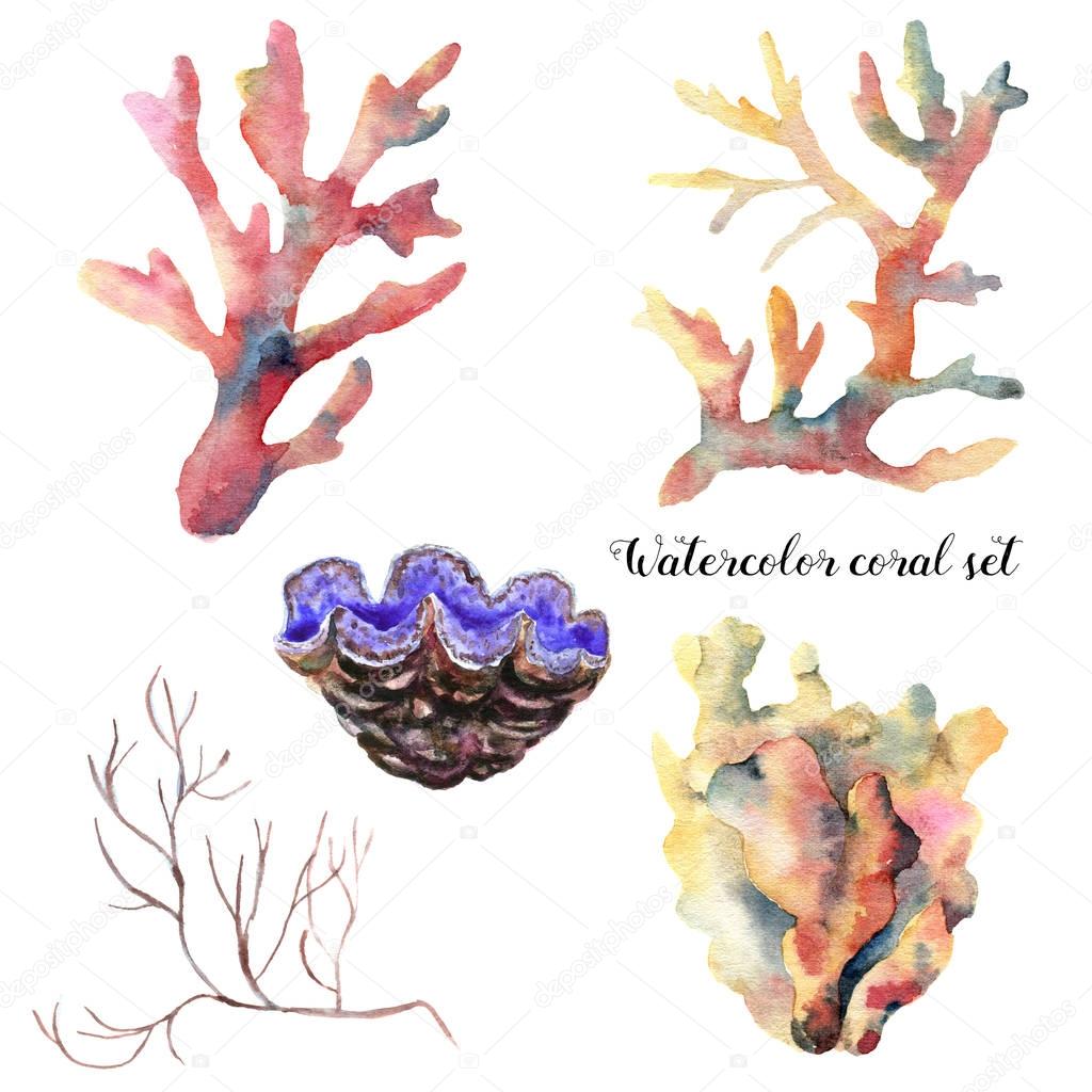 Watercolor set with coral branch. Hand painted underwater animal isolated on white background. Tropical sea life illustration. For design, print or background.