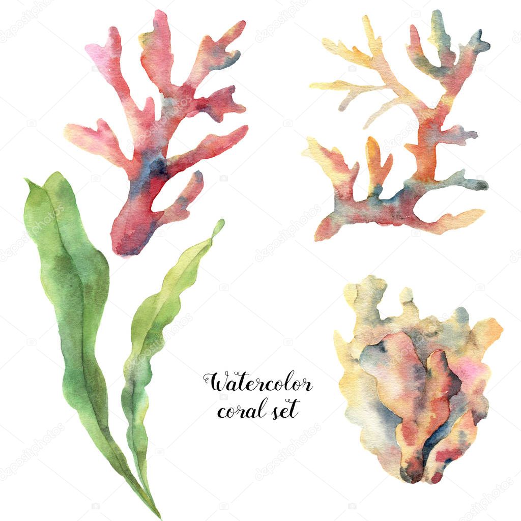 Watercolor set with coral and laminaria. Hand painted underwater branches isolated on white background. Tropical sea life illustration. For design, print or background.