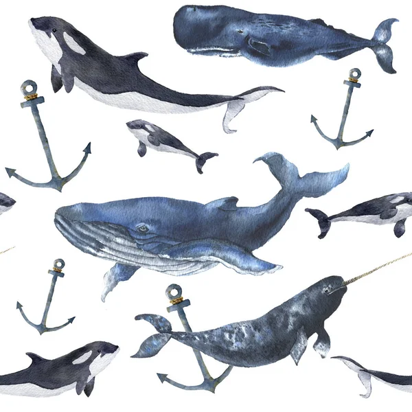 Watercolor seamless pattern with whales and anchor. Hand painted ornament with blue whale, narwhal, orca and sperm whale isolated on white background. Nautical illustration for design — Stock Photo, Image
