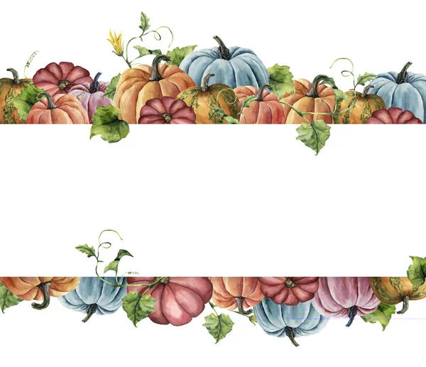 Tarjeta de cosecha de otoño acuarela. Borde pintado a mano con calabazas brillantes con hojas y flores aisladas sobre fondo blanco. Ilustración botánica para el diseño — Foto de Stock