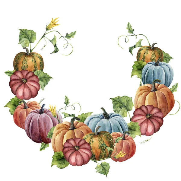 Podzimní věnec akvarelu s dýní. Ručně malované jasné dýně s listy a květy izolované na bílém pozadí. Botanická ilustrace pro design. — Stock fotografie