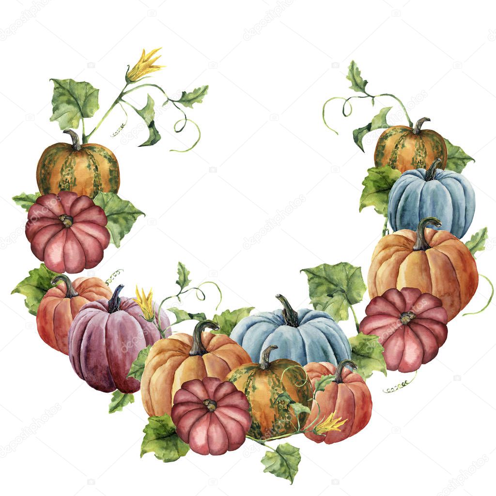 Watercolor autumn wreath with pumpkin. Hand painted bright pumpkins with leaves and flowers isolated on white background. Botanical illustration for design