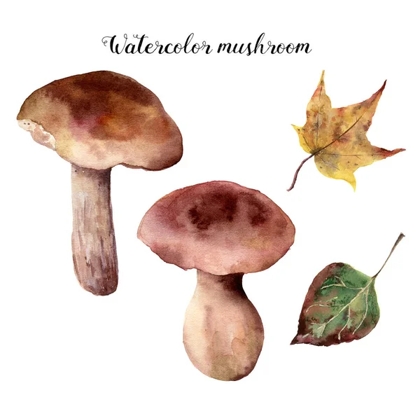 Jamur warna air siap. Tangan dicat jamur hutan dengan daun jatuh Terisolasi di latar belakang putih. Ilustrasi alam untuk desain . — Stok Foto