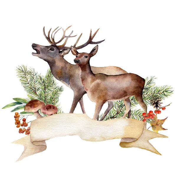 Suluboya sonbahar orman etiket. El şerit beyaz arka plan üzerinde izole kırmızı geyikler, mantar, rowan, çilek ve çam dalı ile boyalı. Botanik gösterim amacıyla tasarım.