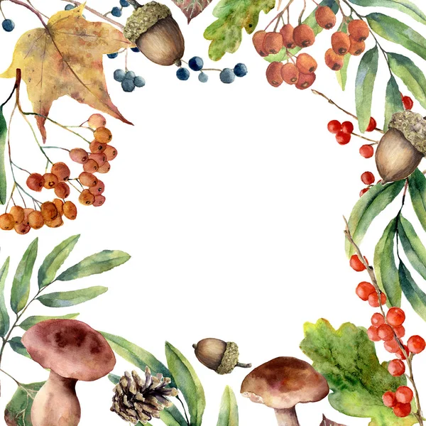 Акварель осенняя. Покрашенная вручную цветочная рамка с рябинами, грибами, ягодами, желудком, сосновым шишкой, опадающие листья изолированы на белом фоне. Лесная иллюстрация для дизайна. Ботанический отпечаток . — стоковое фото