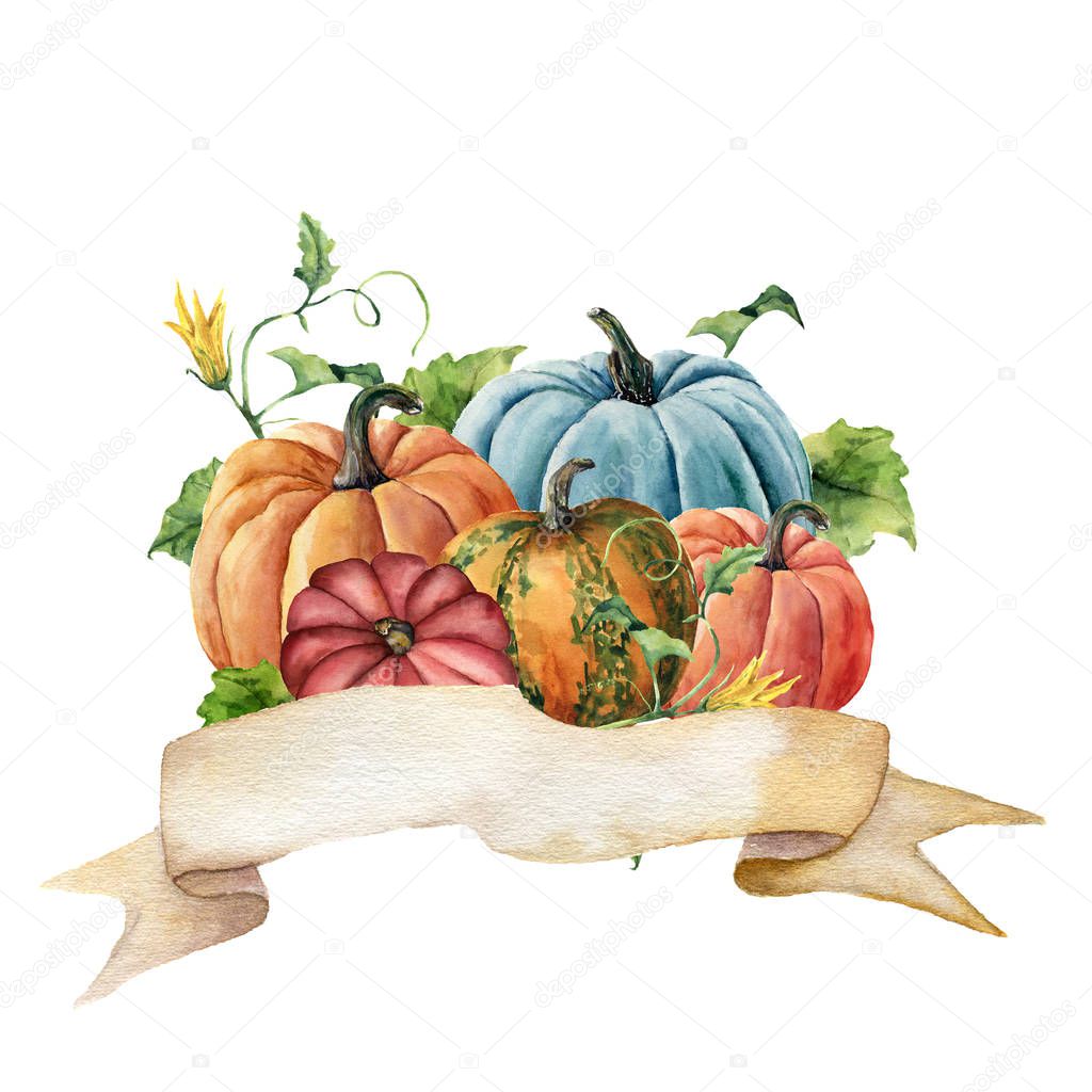 Watercolor autumn label. Hand painted ribbon with bright pumpkins with leaves and flowers isolated on white background. Botanical illustration for design