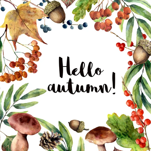 Watercolor Hello autumn frame. Hand painted floral frame with rowan, mushrooms, berries,acorn, pine cone, fall leaves isolated on white background. Forest illustration for design. Botanical print. — Stock Photo, Image