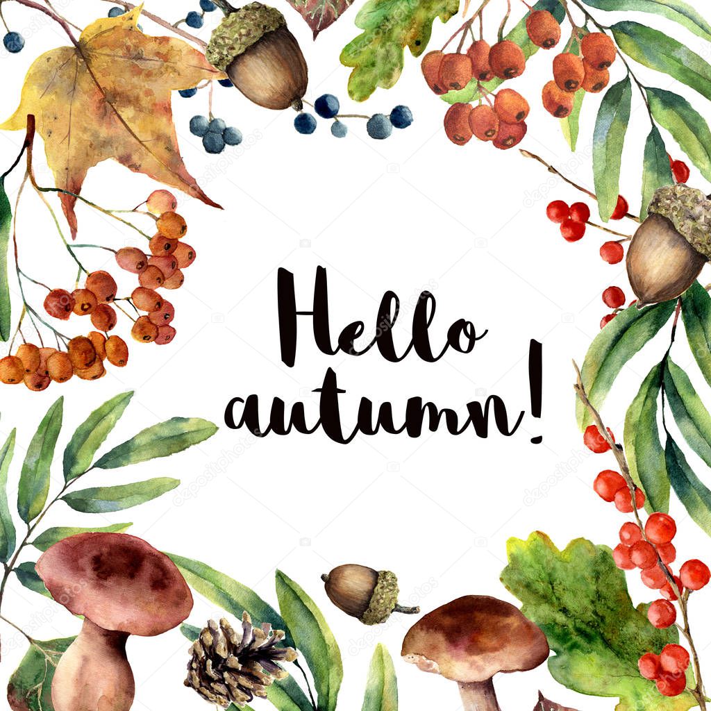 Watercolor Hello autumn frame. Hand painted floral frame with rowan, mushrooms, berries,acorn, pine cone, fall leaves isolated on white background. Forest illustration for design. Botanical print.