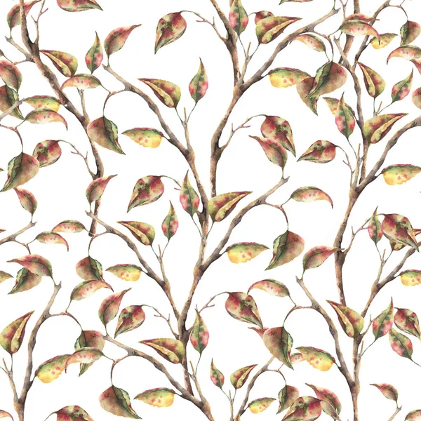 Watercolor seamless pattern with tree branch with autumn leaves. Hand painted autumn ornament isolated on white background for design, fabric or print.