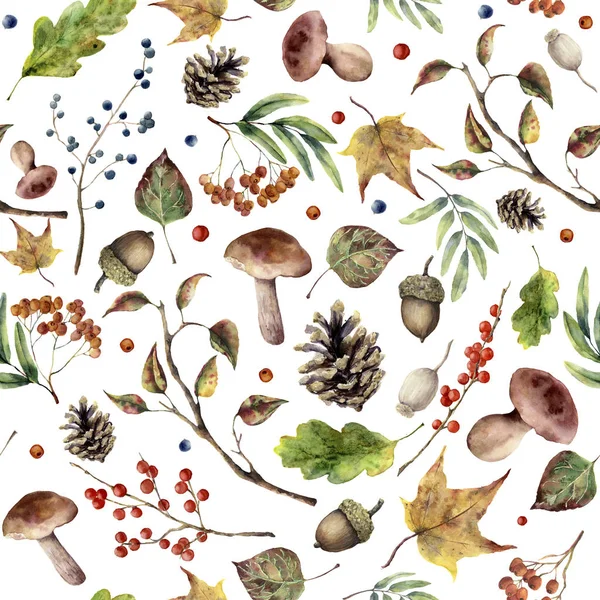 Watercolor autumn forest pattern. Hand painted mushroom, rowan, fall leaves, tree branch, pine cone, berry and acorn isolated on white background. Nature illustration for design. — Stock Photo, Image