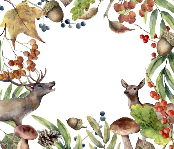 Watercolor autumn forest frame. Hand painted floral frame with deers, rowan, mushrooms, berries,acorn, pine cone, fall leaves isolated on white background. Forest border for design. Botanical print. — Stock Photo, Image
