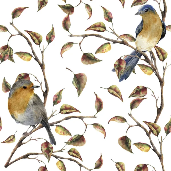 Aquarell nahtloses Muster mit Rotkehlchen, das auf einem Ast sitzt. Herbst Illustration mit Vögeln und Herbstblättern isoliert auf weißem Hintergrund. Nature Print für Design. — Stockfoto