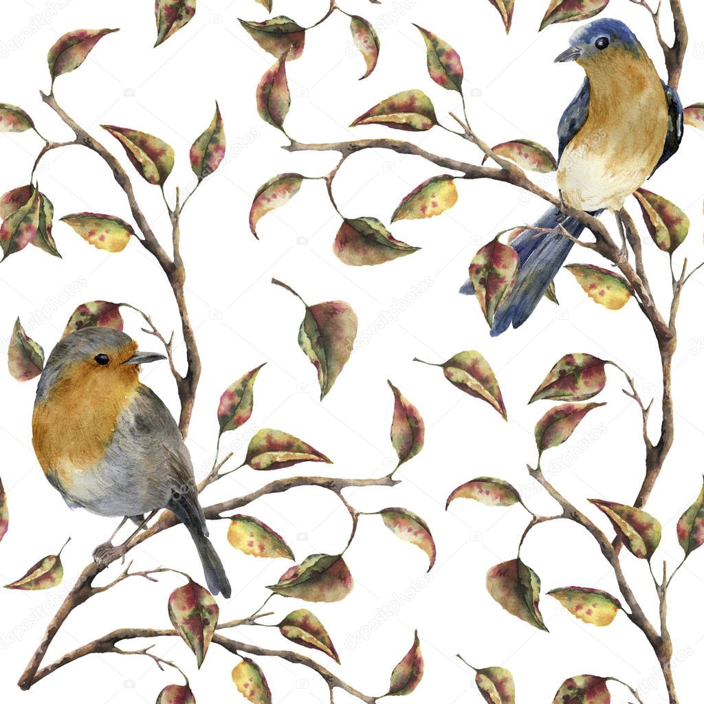 Watercolor seamless pattern with robin sitting on tree branch. Autumn illustration with birds and fall leaves isolated on white background. Nature print for design.