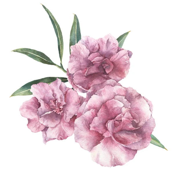 Bouquet floral aquarelle. Oléandre peinte à la main avec des feuilles et une branche isolées sur fond blanc. Illustration botanique pour design, impression, tissu . — Photo