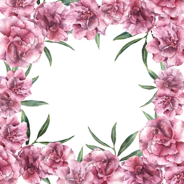 Cartão trópico floral aquarela. Borda pintada à mão com flores de oleandro com folhas e galho isolado no fundo branco. Ilustração botânica para design, impressão, tecido . — Fotografia de Stock