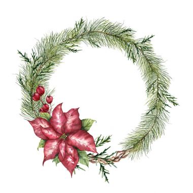 Sulu Boya Noel çiçek çelenk. El boyalı Noel ağacı dalı, Atatürk çiçeği, okaliptüs, sedir ve beyaz arka plan üzerinde izole crabapple. Tasarım veya baskı için çiçek botanik kenarlık.