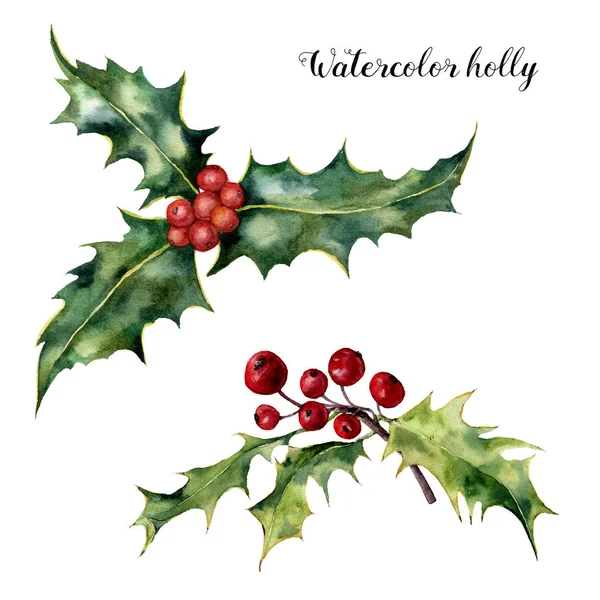 Suluboya holly küme. El boyalı holly şube ile beyaz arka plan üzerinde izole kırmızı dut. Noel botanik küçük resim tasarım veya yazdırın. Tatil tesisi.