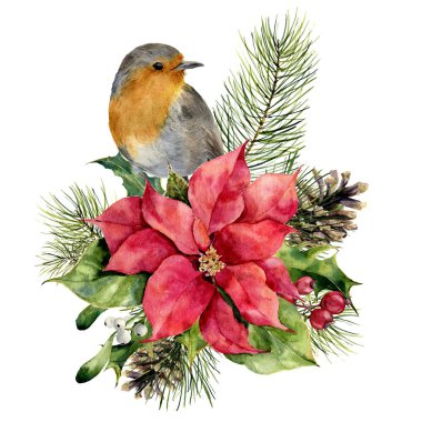 Suluboya robin, Atatürk çiçeği Noel çiçek dekorasyonu ile. El boyalı kuş ve geleneksel çiçek ve bitki: beyaz zemin üzerine izole holly, ökse otu, çilek ve köknar dalı. Tatil Yazdır.