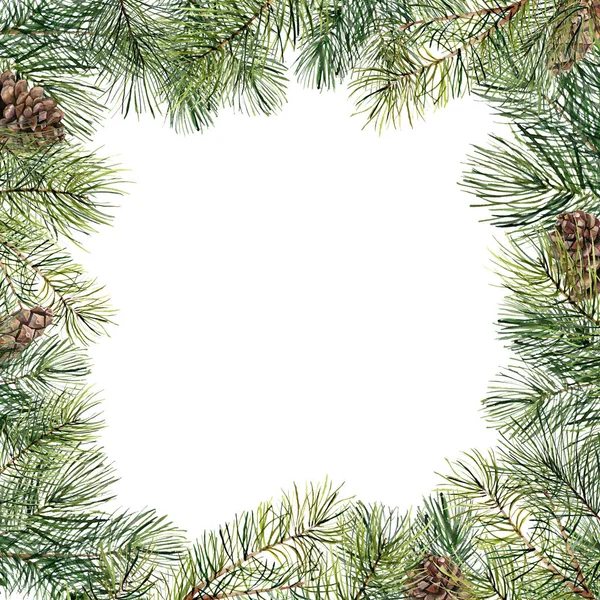 수채화 크리스마스 트리 소나무 콘과 함께 꽃 프레임입니다. 손으로 그린 전나무 지점, 흰색 배경에 고립 된 소나무 콘. 휴일 테두리입니다. 겨울 카드 — 스톡 사진