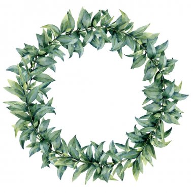 Suluboya okaliptüs zarif çelenk. El egzotik yaprakları ve beyaz arka plan üzerinde izole şube boyalı. Botanik çiçek illüstrasyon. Tasarım veya baskı için.