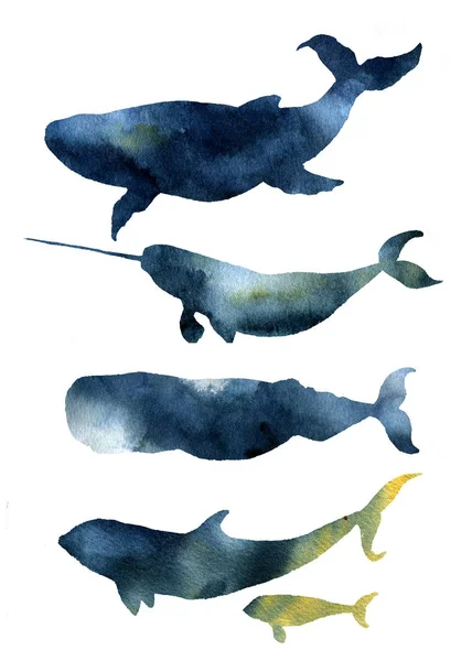 Ballenas acuarela establecidas. Siluetas de animales marinos dibujados a mano con textura del cielo. Estampados con ballena azul, ballena, cachalote, orca aislados sobre fondo blanco. Para diseño, impresión, tela y fondo . — Foto de Stock