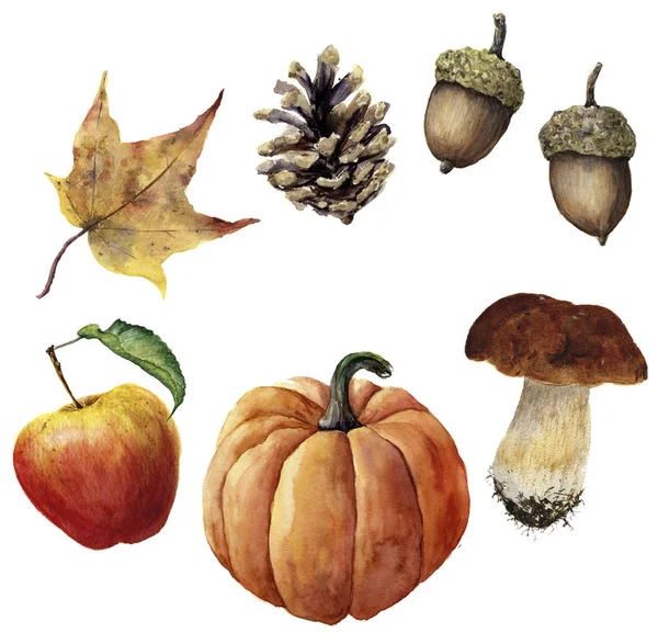 Acuarela otoño cosecha conjunto. Cono de pino pintado a mano, bellota, calabaza, manzana, champiñón y hoja amarilla aislados sobre fondo blanco. Ilustración botánica para el diseño — Foto de Stock