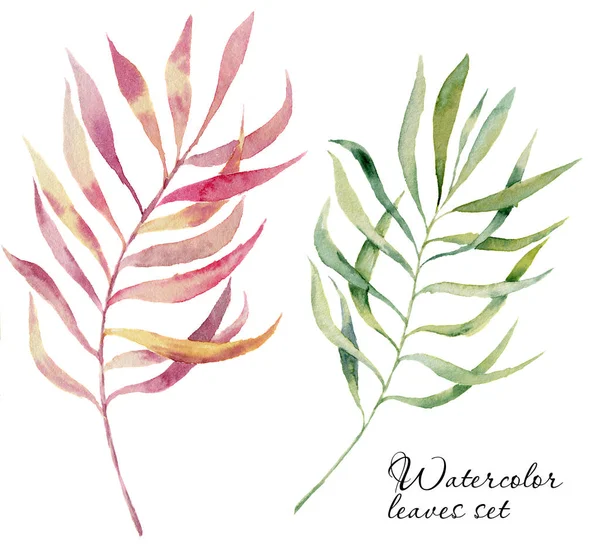 Watercolor green and pink leaves branch set. Hand painted botanical elements. Illustration isolated on white background. For design, textile and background. — Stock Photo, Image