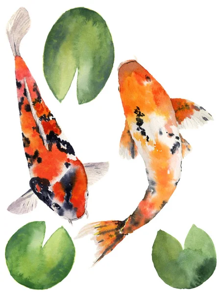 Aquarell orientalischer Regenbogenkarpfen mit Seerosenblättern Set. koi Fische isoliert auf weißem Hintergrund. Unterwasser-Illustration für Design, Hintergrund oder Stoff — Stockfoto